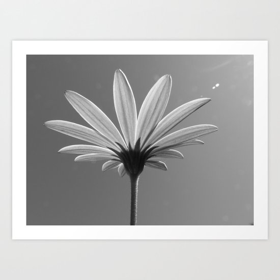 Lit Daisy Art Print