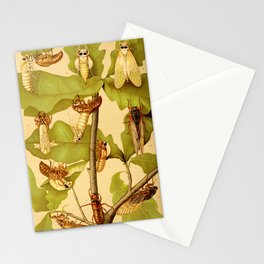 Transformation of Cicada Septemdecim by Lillie Sullivan, 1898 (benefitting The Nature Conservancy) Stationery Cards