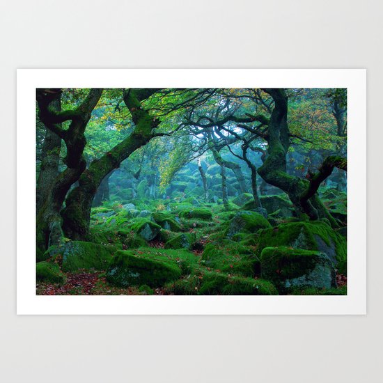 Forest #woods Art Print