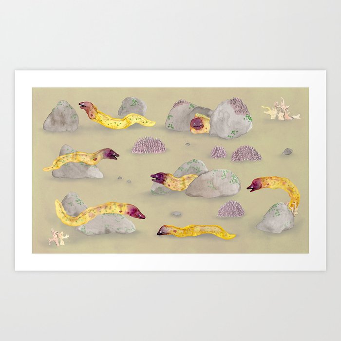 White-eyed Moray Eels Art Print
