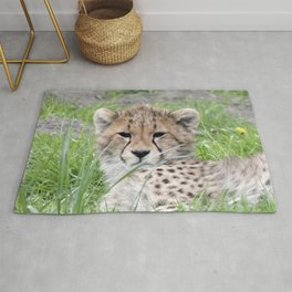 Cheetah20150904 Rug