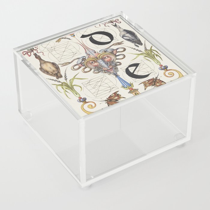 Vintage calligraphy art d and e Acrylic Box