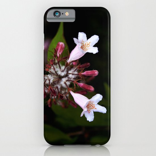 Blossom iPhone & iPod Case
