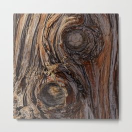 Tree Trunk Textures I - Utah Metal Print