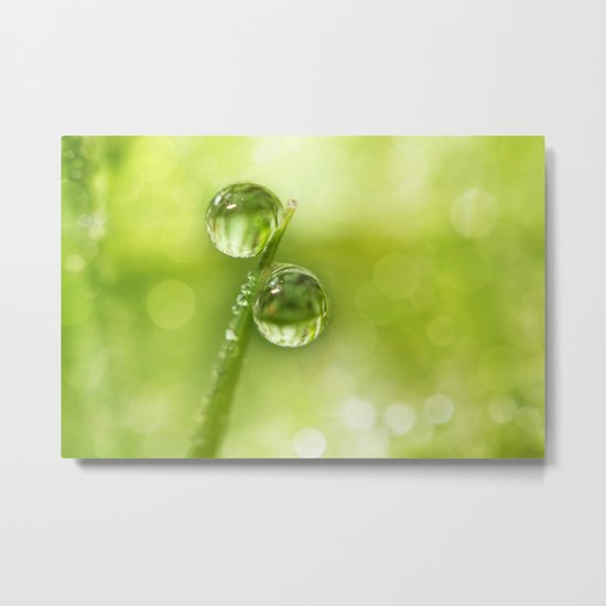 Dew Drop Green Metal Print