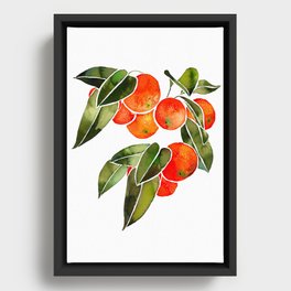Oranges Framed Canvas