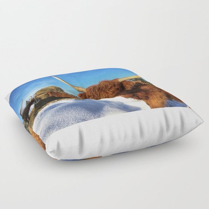 Fluffy Highland Cattle Cow 1022 Floor Pillow by Highland Cattle of
