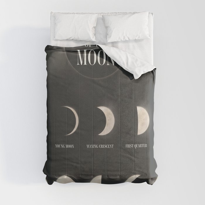 Phases of the Moon. Comforter