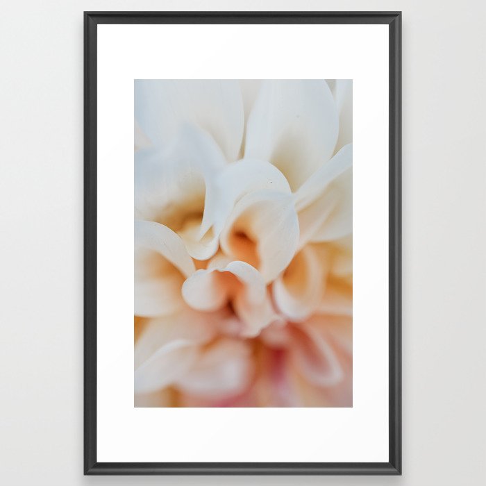 Dahlia No. 2 Framed Art Print