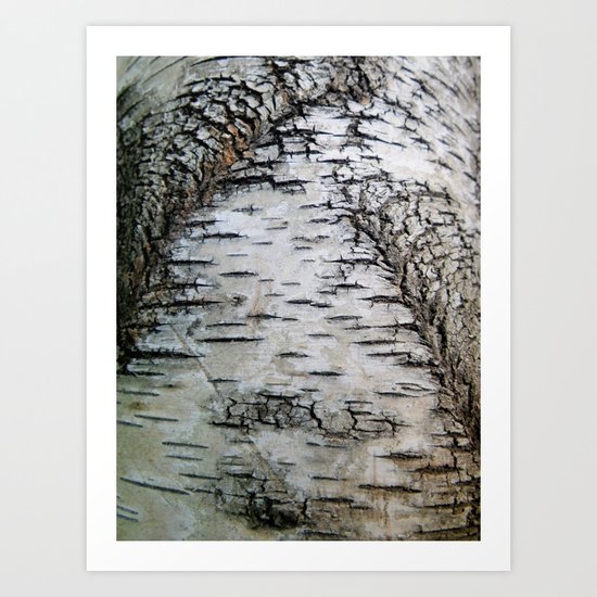 Life of a Fissure Art Print