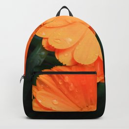 Captivating Calendula Backpack | Nature, Orangeflower, Singleflower, Vivid, Garden, Floral, Flowers, Calendula, Plants, Brightorange 