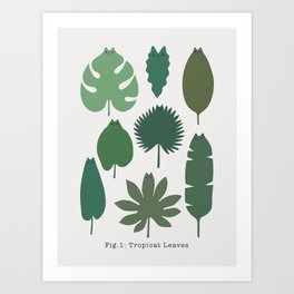 Cat and Plant 39: Tropicat Leaves Art Print