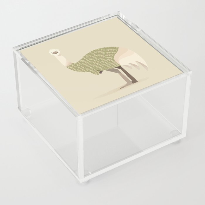 Whimsical Emu Acrylic Box