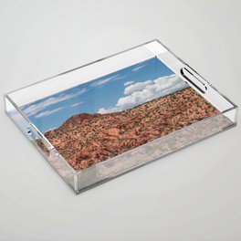 Utah Desert Landscape Acrylic Tray