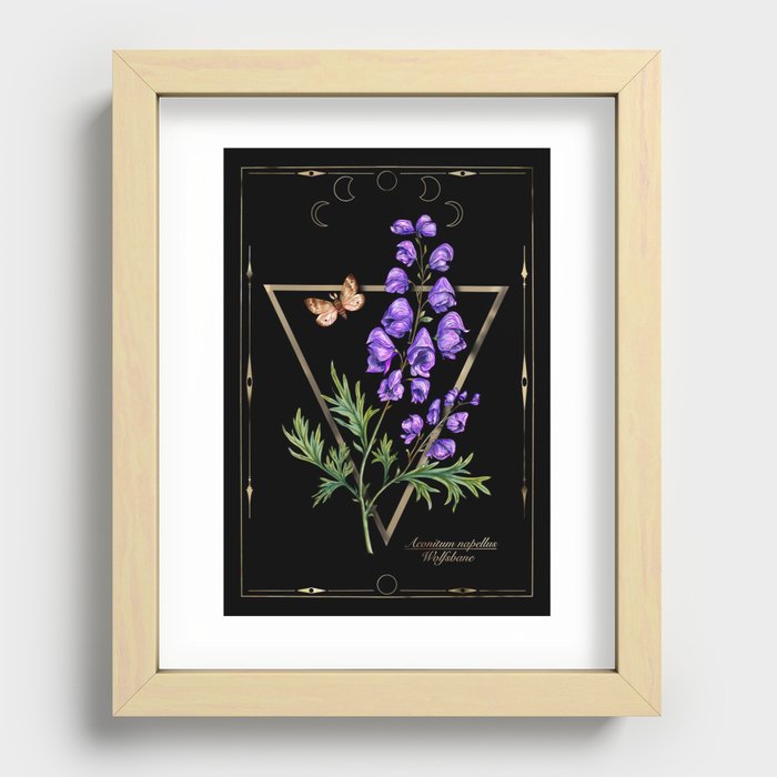 Wolfsbane magical herb  Recessed Framed Print