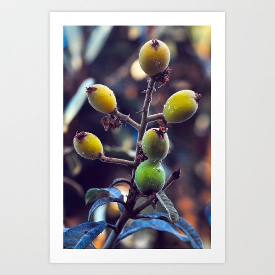Exotic Fruits - Botanical Garden Art Print