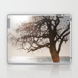 Tree at Caribbean Beach #1 #wall #art #society6 Laptop Skin