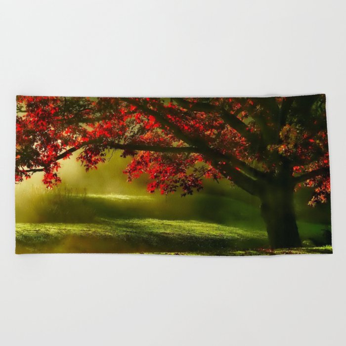 Red maple tree sunrise color landscape nature photograph / photography Beach Towel