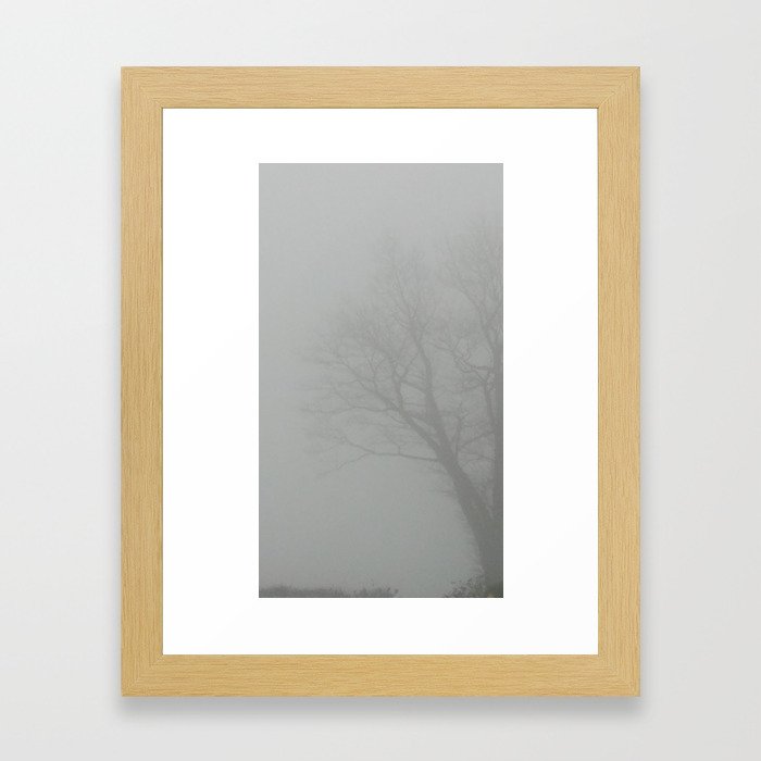 Foggy Tree Framed Art Print