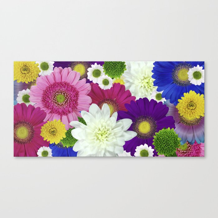 Colorful Daisies Canvas Print