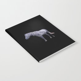 Arabian purebred stallion racehorse Notebook