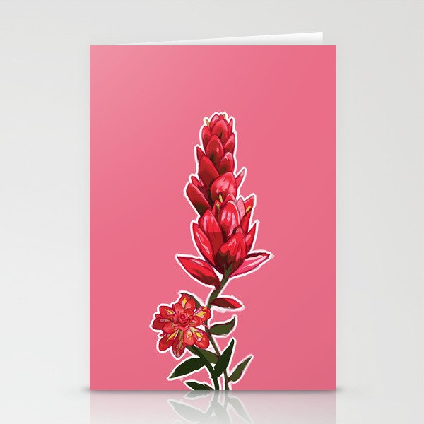 Illustrated Indian Paint Brush Stationery Cards