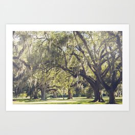 Audubon Park - New Orleans Art Print