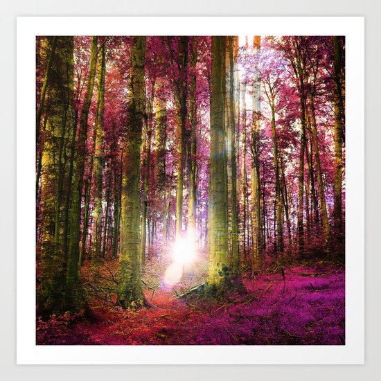 Range The Autumn Woods Art Print