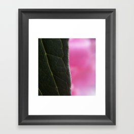 Leaf 33 Framed Art Print