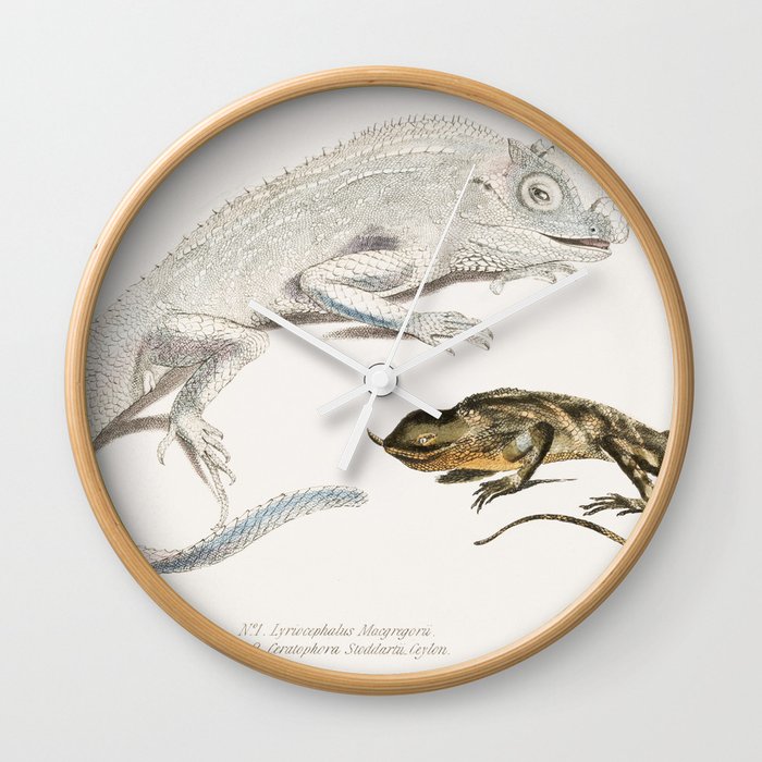 Macgregor's Lyre Headed Lizard & Stoddart's Unicorn Lizard Wall Clock