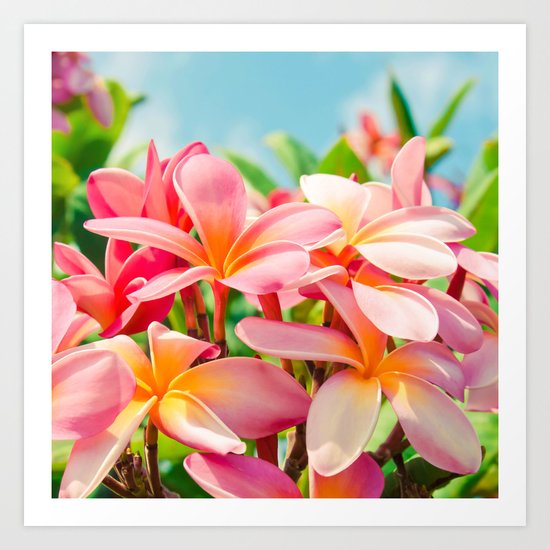 Pua Melia ke Aloha Maui Art Print
