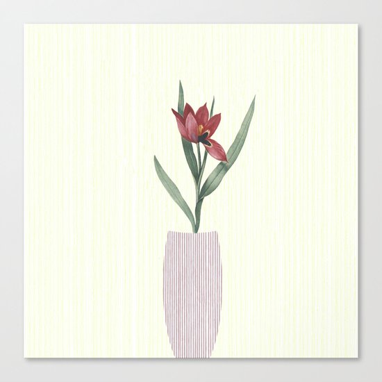 Pulchritude Canvas Print