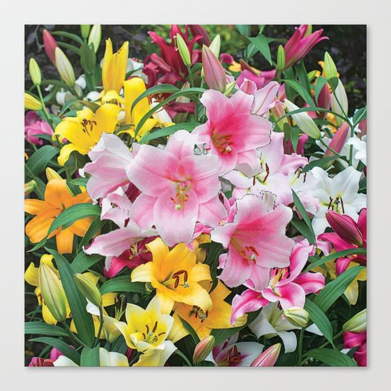 SPRING LILIES FLOWER GARDEN MEDLY Canvas Print
