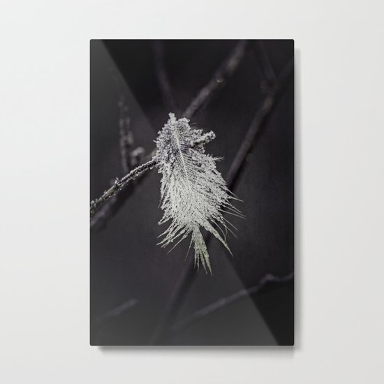 frosted feathers Metal Print
