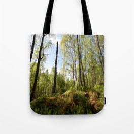 Spring and the Birch Trees  Tote Bag