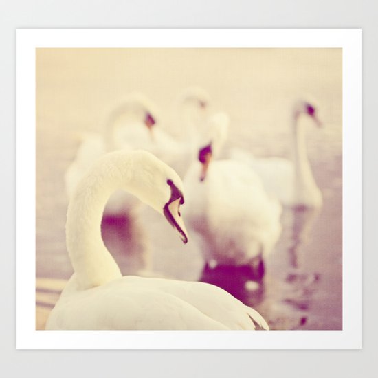 Swan Lake Art Print