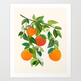 Oranges and Blossoms Tropical Fruit Painting Art Print