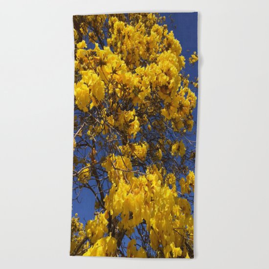 Beautiful tree in Santa Paula, CA Beach Towel