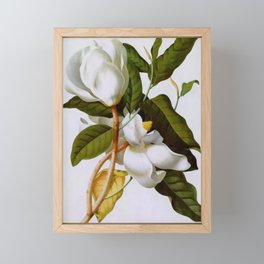Vintage Botanical White Magnolia Flower Art Framed Mini Art Print