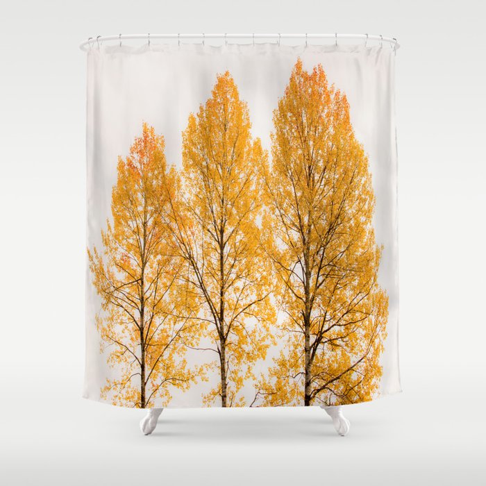 Aspen Trees #decor #society6 #buyart Shower Curtain
