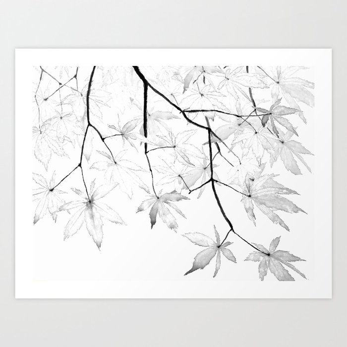 black and white maple leaves Art Print