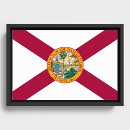Flag of Florida Framed Canvas