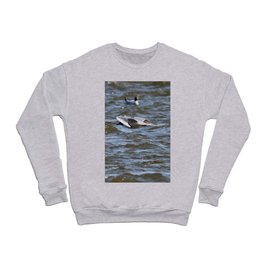 Bonaparte Gull Four Crewneck Sweatshirt