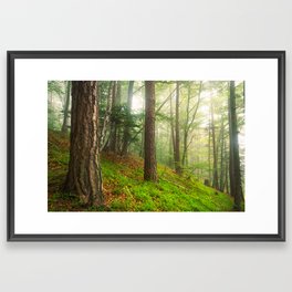 Foggy forest 3 Framed Art Print
