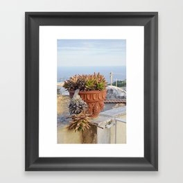 Pot of succulents by the mediterranean sea | Massa Lubrense, Italy Framed Art Print