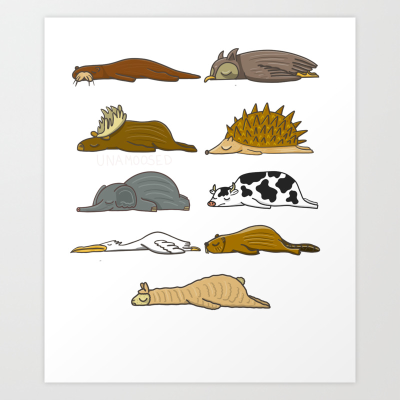 Funny Lazy Animals of The World graphic Pun Art Print by Novelty Merch |  Society6