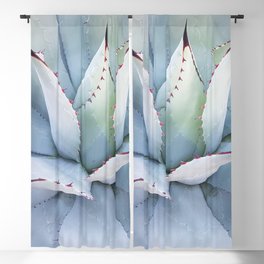 Mexico Photography - The Beautiful Agave Plant Blackout Curtain
