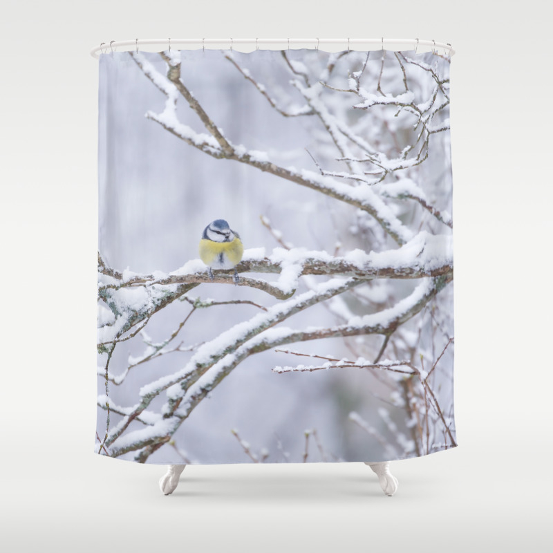 Blue Tit Bird On A Snowy Branch Winter Scene Decor Society6