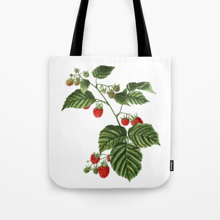 Vintage Raspberry Botanical Illustration on Pure White Tote Bag