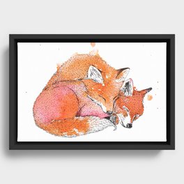 Sleeping Fox Couple in Ink and Watercolor Orange Painting Framed Canvas